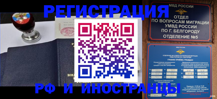 временная регистрация поиск в Бородино